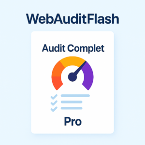 WebAuditFlash-Pro