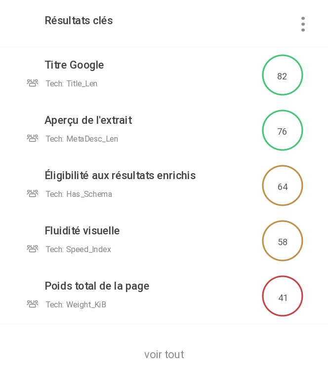 WebAuditFlash-seo-audit_top-issues_FR
