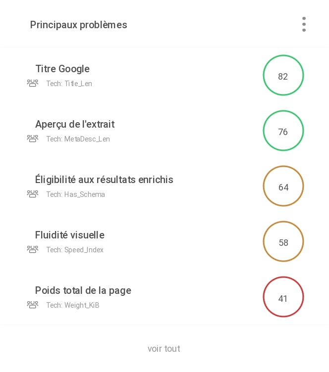 WebAuditFlash-seo-audit_top-issues_FR