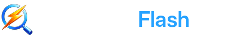WebAuditFlash