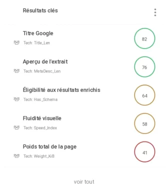 Tableau de synthèse présentant les métriques et résultats clés techniques de l'audit SEO et site web.