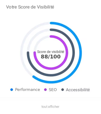 Jauges circulaires affichant le score de visibilité globale, la performance SEO et l'accessibilité du site audité.